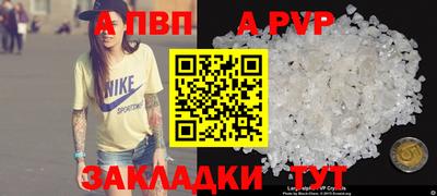 прущие грибы Ирбит