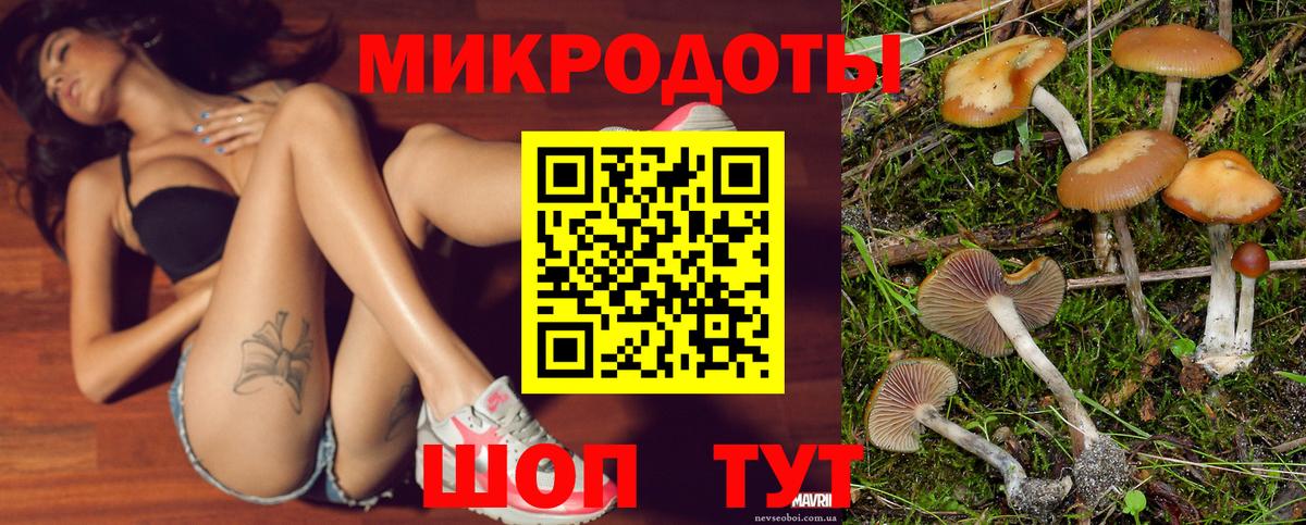 Лесосибирск  Галлюциногенные грибы Psilocybine cubensis  сколько стоит  Вход с VPN 