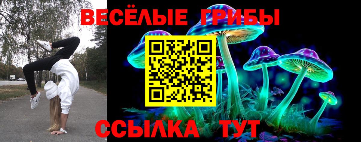 Псилоцибиновые грибы прущие грибы Лесосибирск
